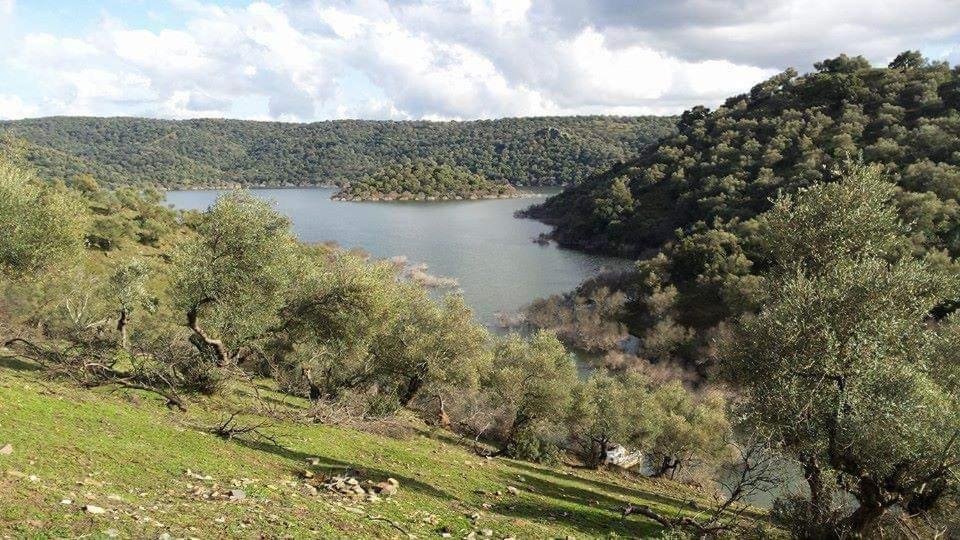 Casas Rurales El Balcon De La Brena Almodóvar del Río 외부 사진